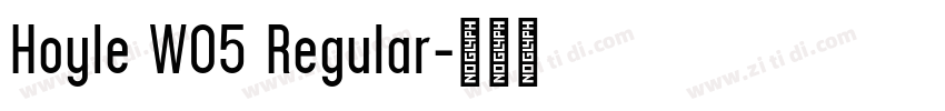 Hoyle W05 Regular字体转换